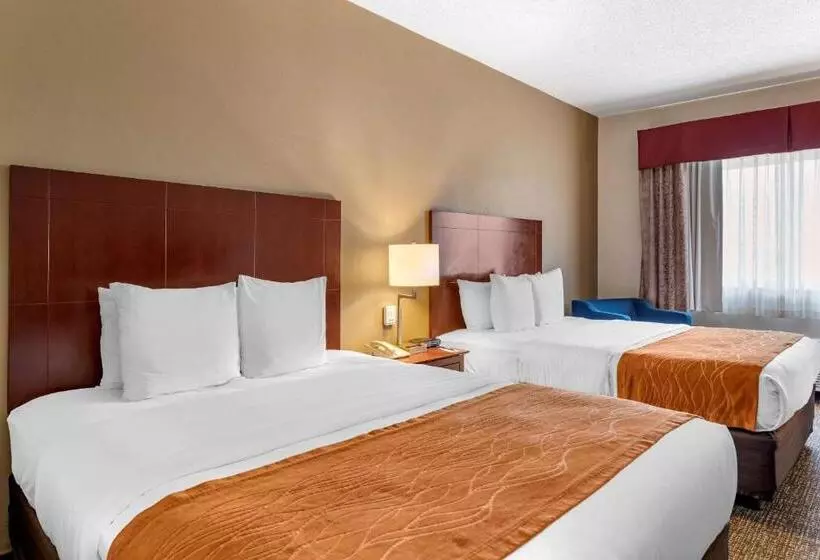 スタンダードルーム, Comfort Inn & Suites Kelso  Longview