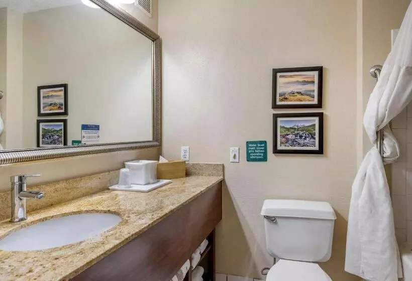 スタンダードルーム, Comfort Inn & Suites Kelso  Longview