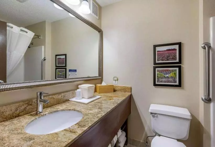 スタンダードルーム, Comfort Inn & Suites Kelso  Longview
