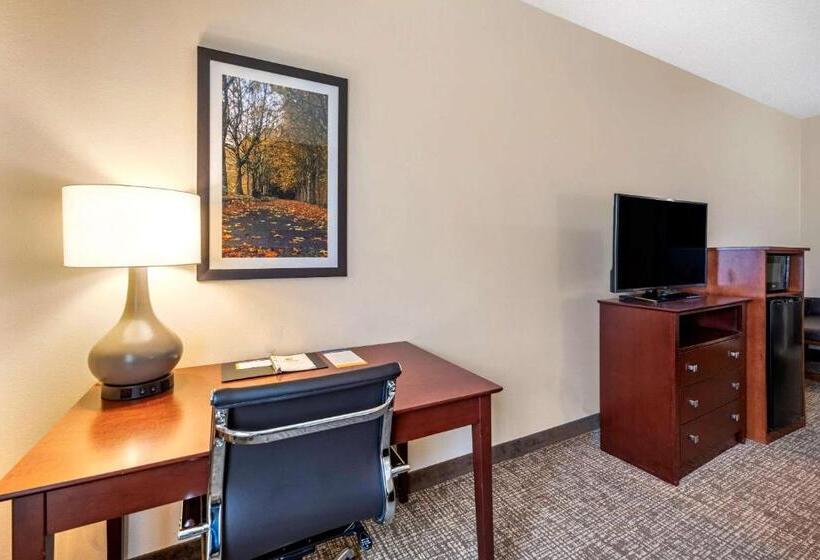 Номер Стандарт Адаптированный для Инвалидов, Comfort Inn & Suites Kelso  Longview