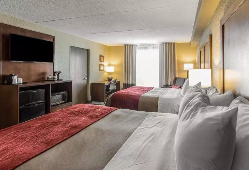 スタンダードルーム, Comfort Inn & Suites Knoxville West