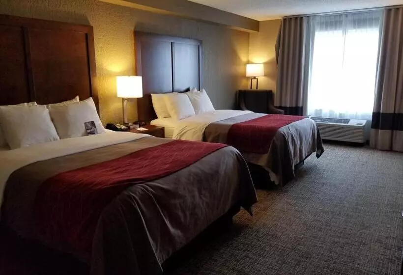 スタンダードルーム, Comfort Inn & Suites Knoxville West