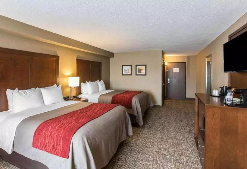 スタンダードルーム, Comfort Inn & Suites Knoxville West