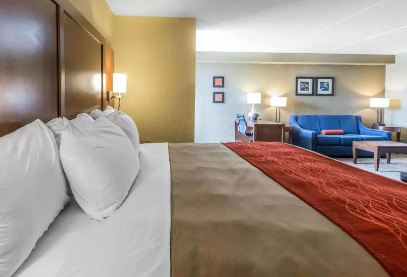 キングサイズベッドのスイートルーム, Comfort Inn & Suites Knoxville West