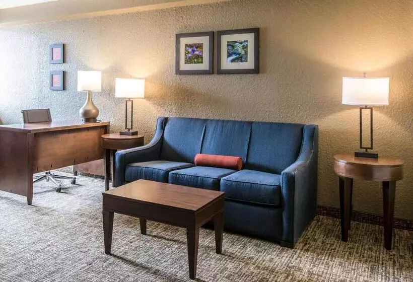 キングサイズベッドのスイートルーム, Comfort Inn & Suites Knoxville West