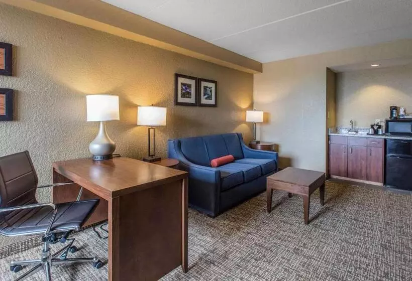 キングサイズベッドのスイートルーム, Comfort Inn & Suites Knoxville West