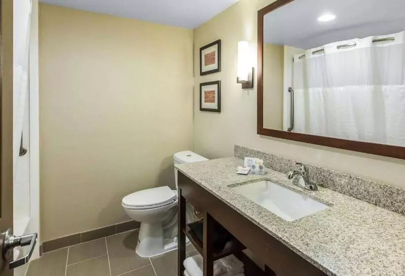 キングサイズベッドのスイートルーム, Comfort Inn & Suites Knoxville West