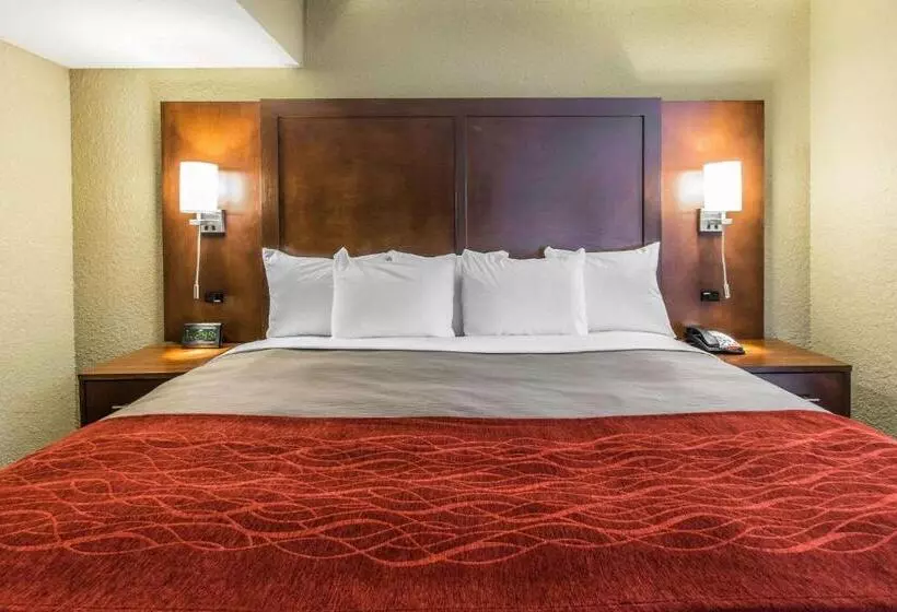 キングサイズベッドのスイートルーム, Comfort Inn & Suites Knoxville West