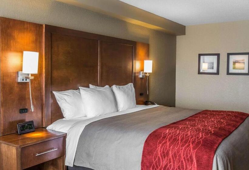 Standard Szoba King Size Bed, Comfort Inn & Suites Knoxville West