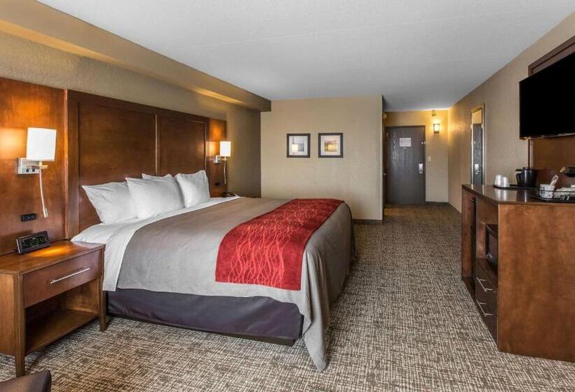 Mozgáskorlátozott Standard Szoba King Size Bed, Comfort Inn & Suites Knoxville West