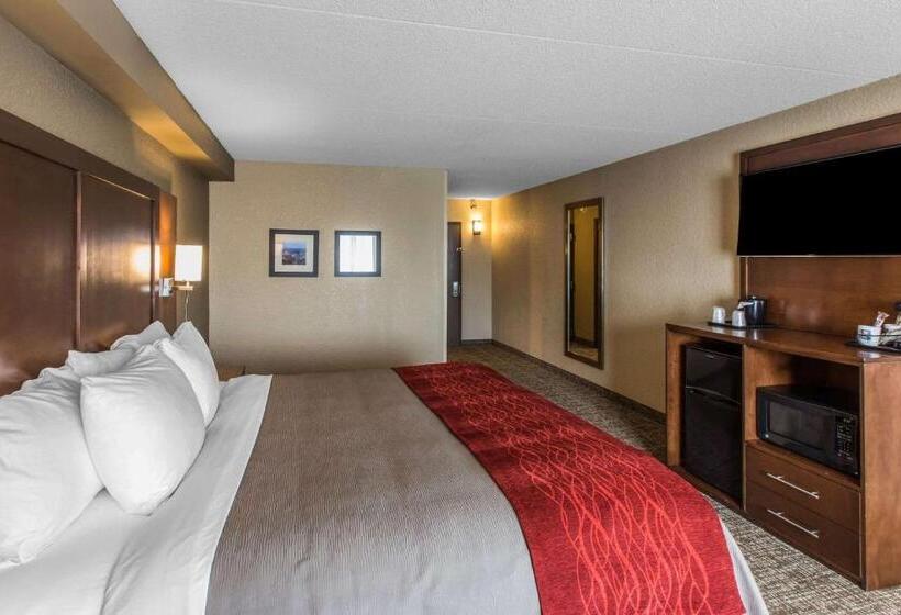 장애인을 위한 킹사이즈 침대 스탠다드 룸, Comfort Inn & Suites Knoxville West