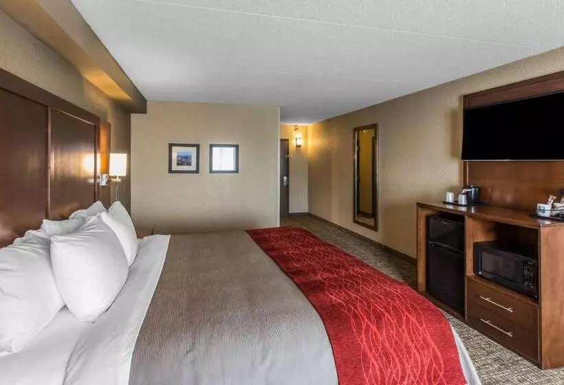 身障者適用キングサイズベッドルーム, Comfort Inn & Suites Knoxville West