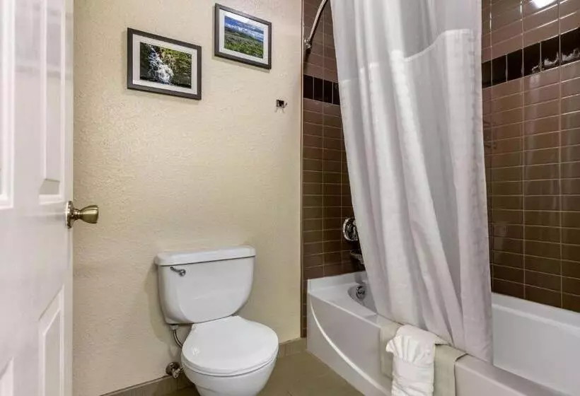 キングサイズベッドのスタンダードルーム, Comfort Inn Worland Hwy 16 To Yellowstone