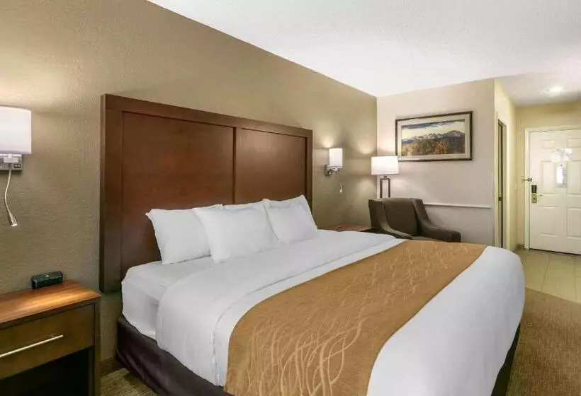 キングサイズベッドのスタンダードルーム, Comfort Inn Worland Hwy 16 To Yellowstone