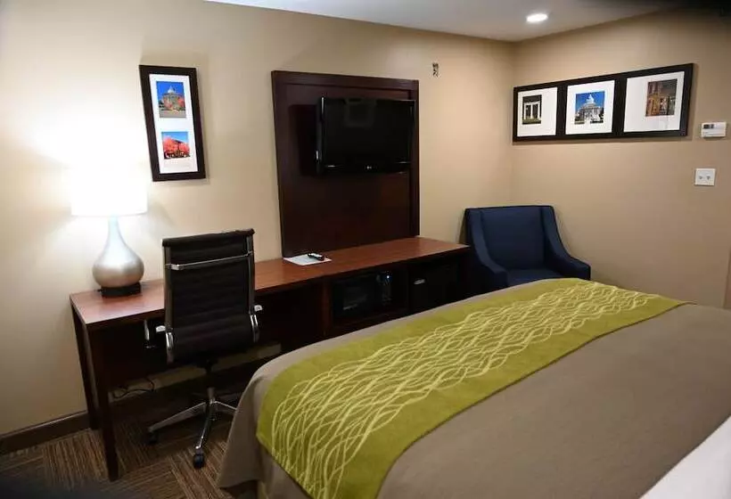 キングサイズベッドのスタンダードルーム, Giles Hotel Inn & Suites