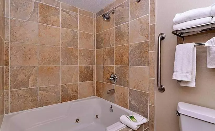 スタンダードルーム, Holiday Inn Express Hotel & Suites Indianapolis W   Airport Area, An Ihg