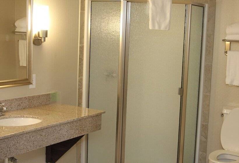 Habitació Estàndard, Holiday Inn Express Hotel & Suites Indianapolis W   Airport Area, An Ihg