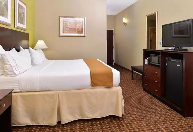 キングサイズベッドのスタンダードルーム, Holiday Inn Express Hotel & Suites Indianapolis W   Airport Area, An Ihg