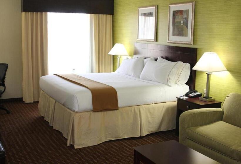 חדר סטנדרט עם מיטת קינג, Holiday Inn Express Hotel & Suites Indianapolis W   Airport Area, An Ihg