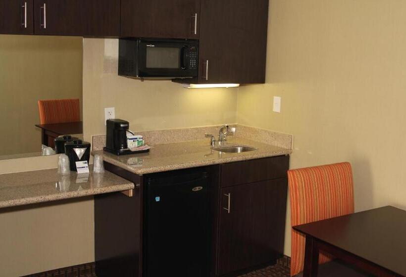 جناح لذوى الاحتياجات الخاصة, Holiday Inn Express Hotel & Suites Indianapolis W   Airport Area, An Ihg