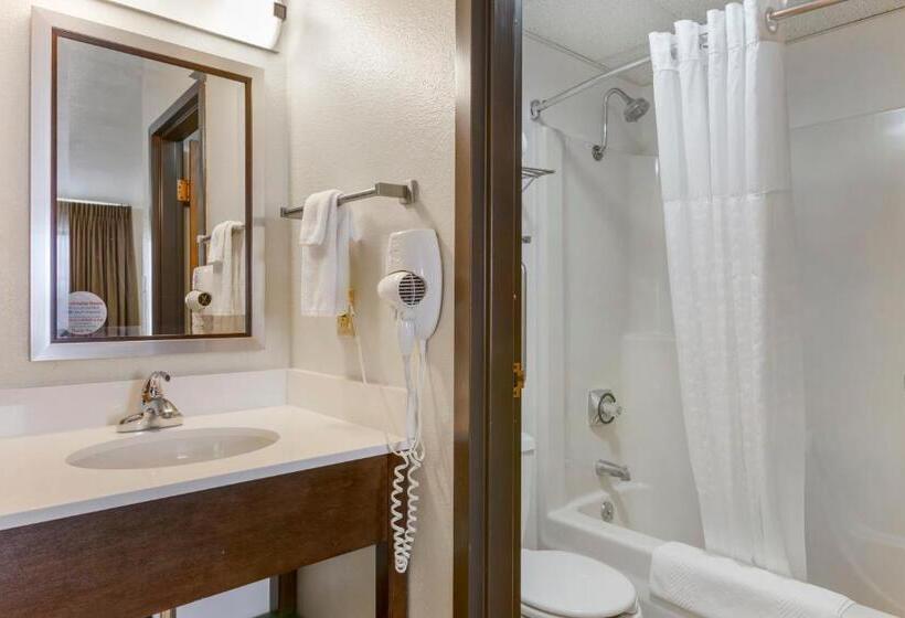 스탠다드 룸 킹사이즈 침대, Quality Inn Hamilton Bitterroot Valley