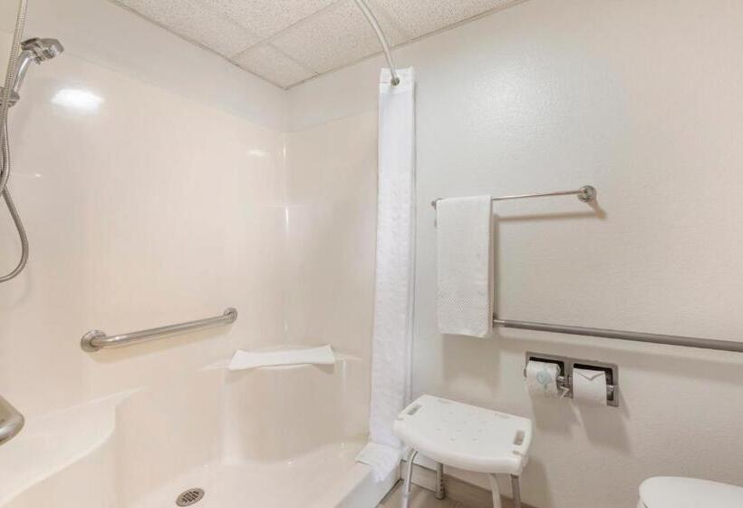 חדר סטנדרט, מיטת קווין, מותאם לאדם עם מוגבלויות, Quality Inn Hamilton Bitterroot Valley