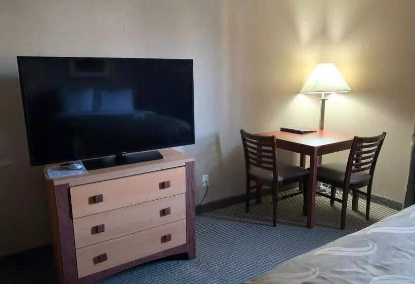 デラックスルーム, Quality Inn Nashville  Bloomington