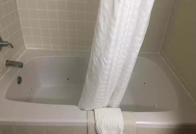デラックスルーム, Quality Inn Nashville  Bloomington
