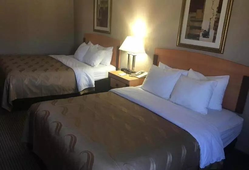 デラックスルーム, Quality Inn Nashville  Bloomington