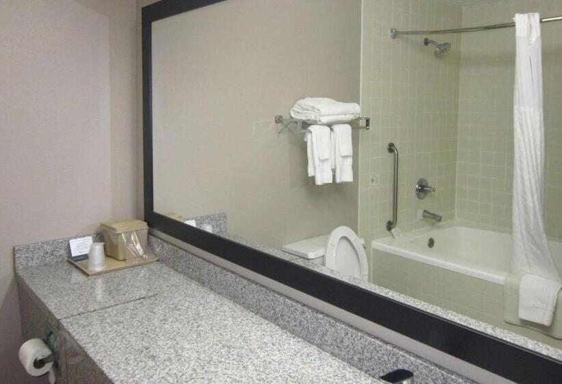 غرفة قياسية سرير كينج, Quality Inn Nashville  Bloomington