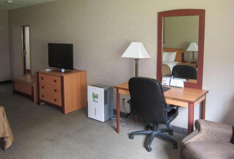 חדר דחוקס עם מיטת קינג, Quality Inn Nashville  Bloomington