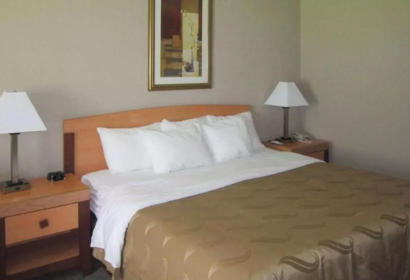 キングサイズベッドのデラックスルーム, Quality Inn Nashville  Bloomington