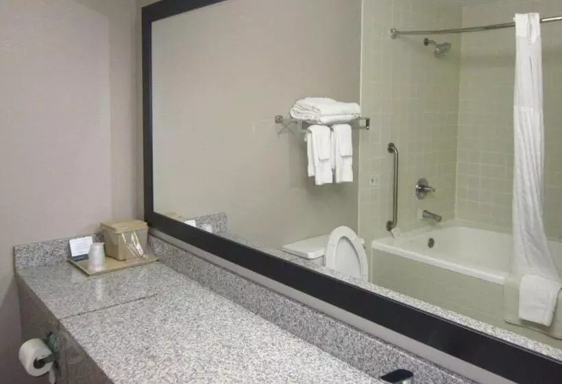 スタンダードルーム, Quality Inn Nashville  Bloomington
