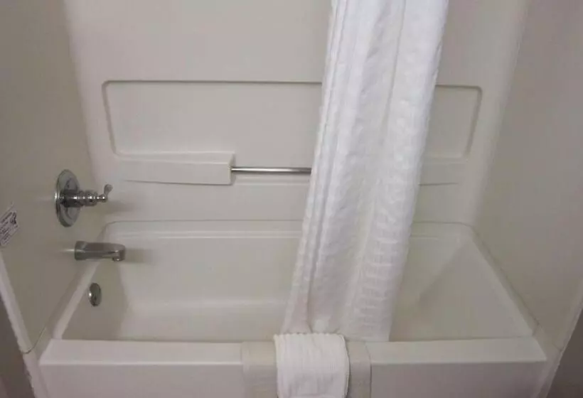 スタンダードルーム, Quality Inn Nashville  Bloomington