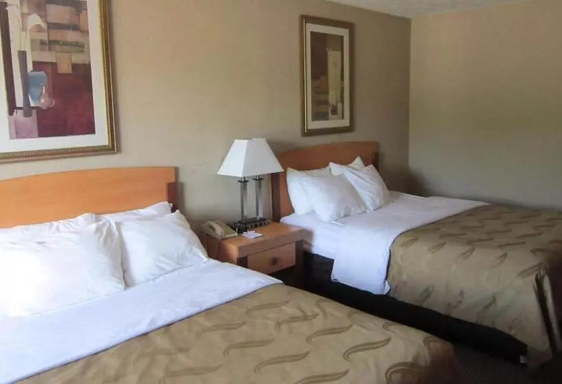 スタンダードルーム, Quality Inn Nashville  Bloomington