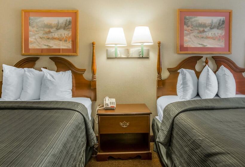 带2个双人床的标准工作室, Quality Inn Reidsville Hwy 29