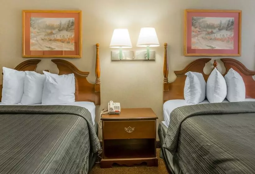 ２ダブルベッドのスタンダードルーム, Quality Inn Reidsville Hwy 29
