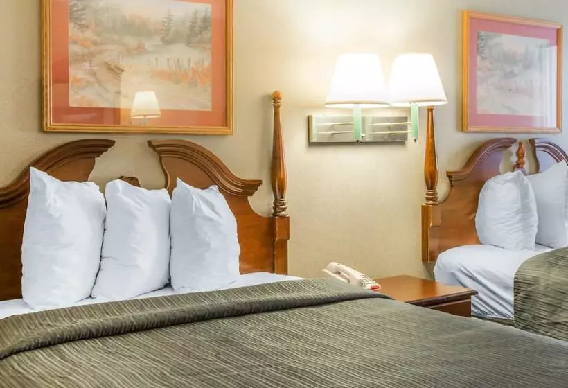 ２ダブルベッドのスタンダードルーム, Quality Inn Reidsville Hwy 29