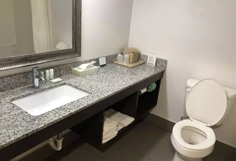 ２ダブルベッドのスタンダードルーム, Quality Inn Rochester South