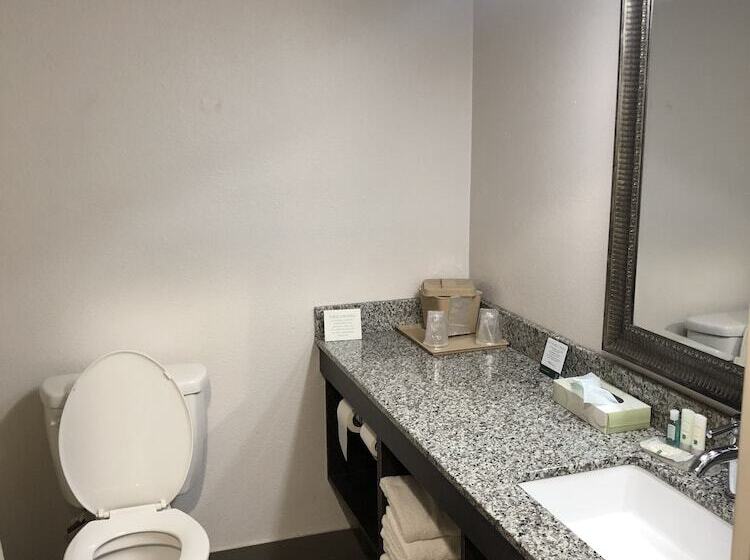 Номер Стандарт 2 Двуспальные Кровати, Quality Inn Rochester South