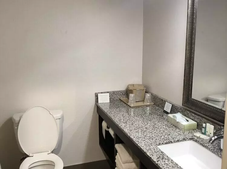 ２ダブルベッドのスタンダードルーム, Quality Inn Rochester South