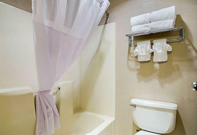 ２ダブルベッドのスタンダードルーム, Quality Inn Sidney I80