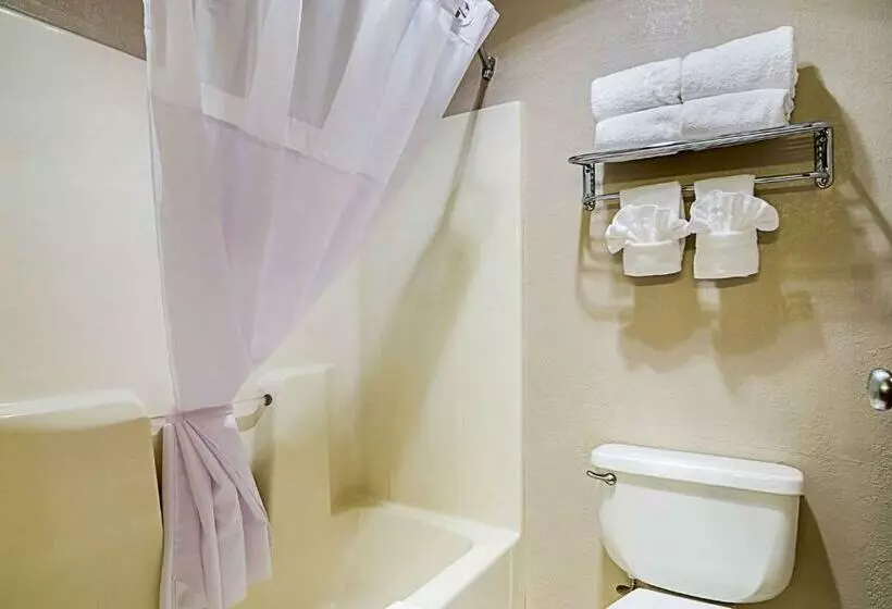 ２ダブルベッドのスタンダードルーム, Quality Inn Sidney I80