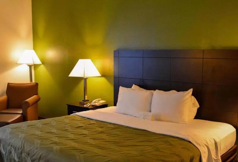 キングサイズベッドのスタンダードルーム, Quality Inn Union Us Hwy 176