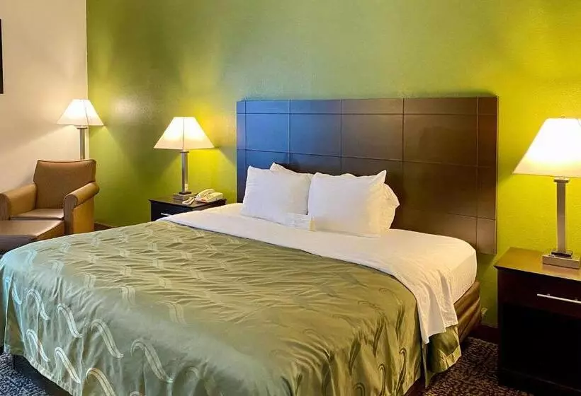 キングサイズベッドのスタンダードルーム, Quality Inn Union Us Hwy 176