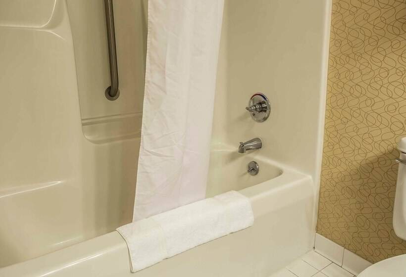 غرفه قياسيه سريرين مزدوجين, Quality Inn Union Us Hwy 176