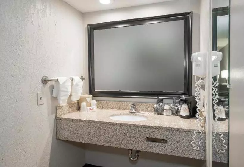 キングサイズベッドのデラックスルーム, Red Roof Inn Mobile North – Saraland