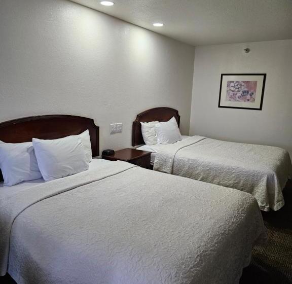 Номер Стандарт, Rodeway Inn