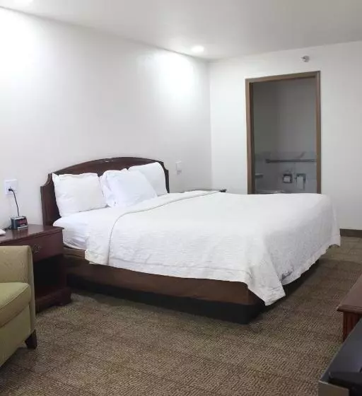 身障者適用キングサイズベッドルーム, Rodeway Inn