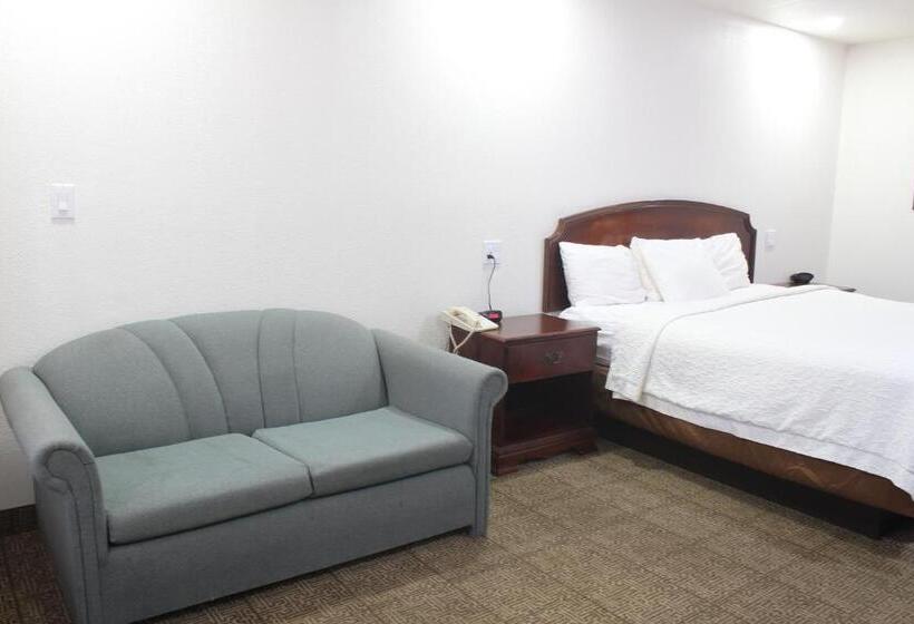 غرفة قياسية سرير كينج لذوى الإحتياجات الخاصة, Rodeway Inn